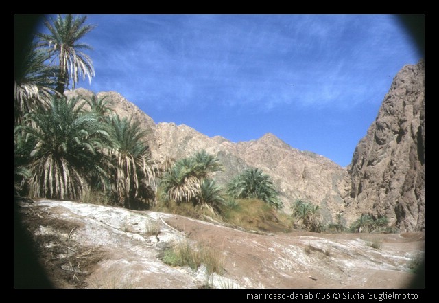 mar rosso-dahab 056.jpg