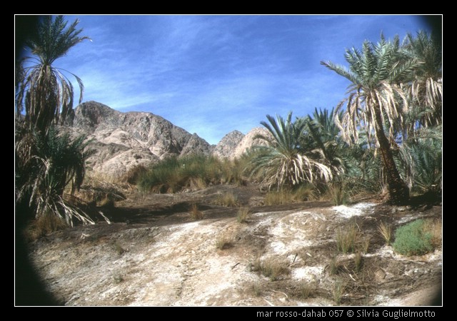 mar rosso-dahab 057.jpg