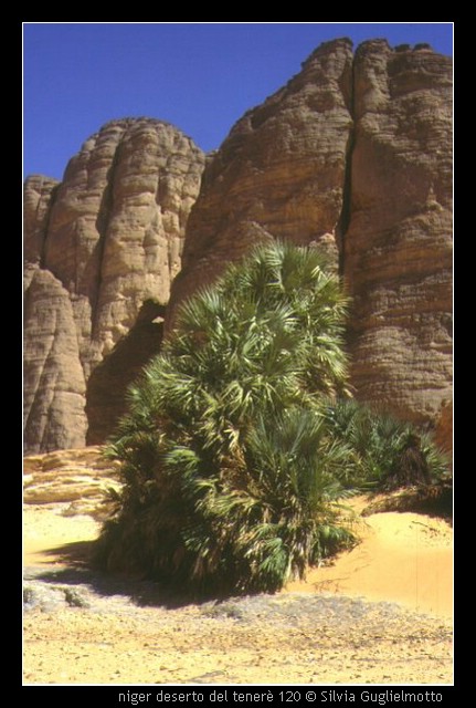 niger deserto del tener 120.jpg