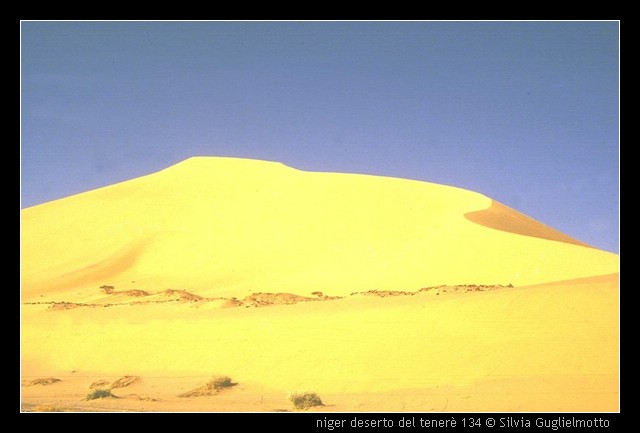 niger deserto del tener 134.jpg