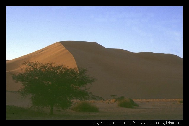 niger deserto del tener 139.jpg