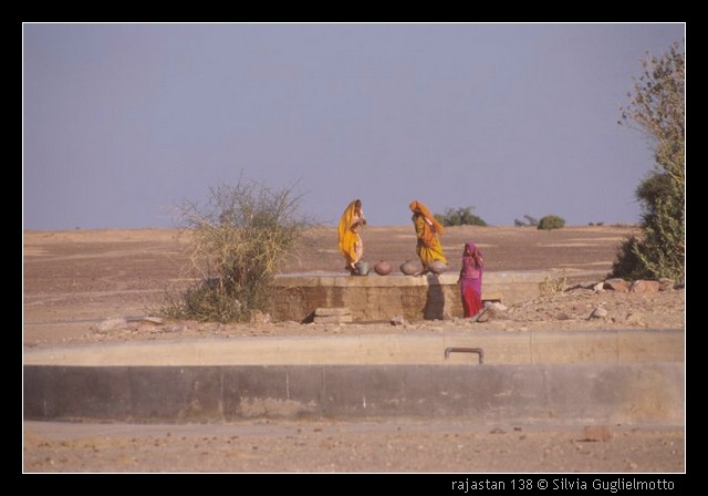 rajastan 138.jpg