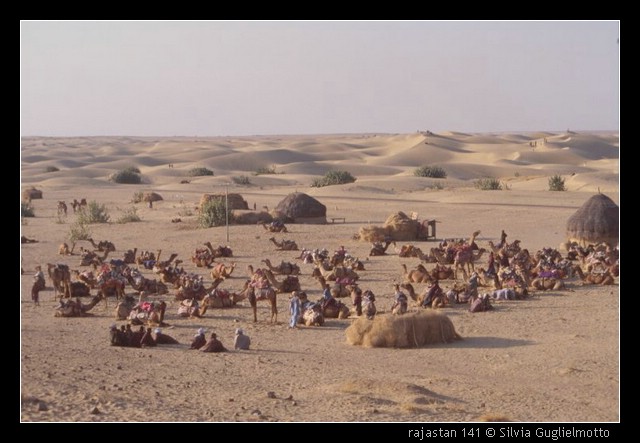 rajastan 141.jpg