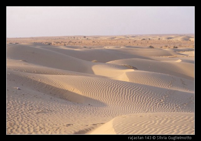 rajastan 143.jpg