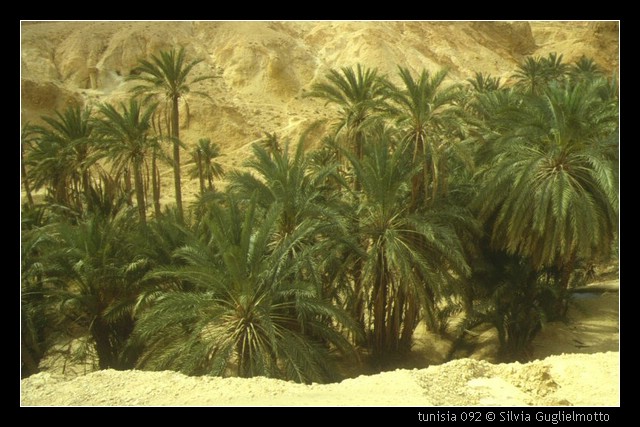 tunisia 092.jpg