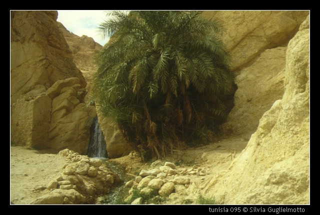 tunisia 095.jpg