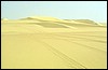 egitto gran mare di sabbia 046.jpg