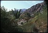 mar rosso-dahab 055.jpg