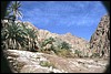 mar rosso-dahab 056.jpg