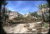 mar rosso-dahab 057.jpg