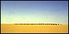niger deserto del tener 041a.jpg