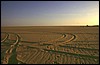 niger deserto del tener 115.jpg