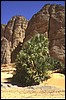 niger deserto del tener 120.jpg