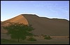 niger deserto del tener 139.jpg