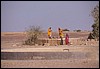 rajastan 138.jpg