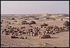 rajastan 141.jpg