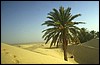 tunisia 055.jpg