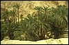 tunisia 092.jpg