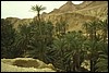 tunisia 093.jpg
