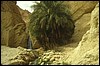 tunisia 095.jpg