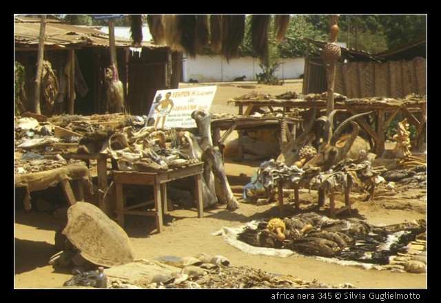 africa nera 345.jpg