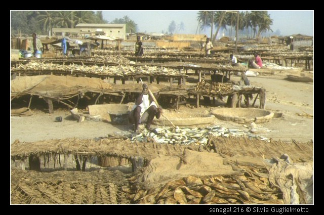 senegal 216.jpg