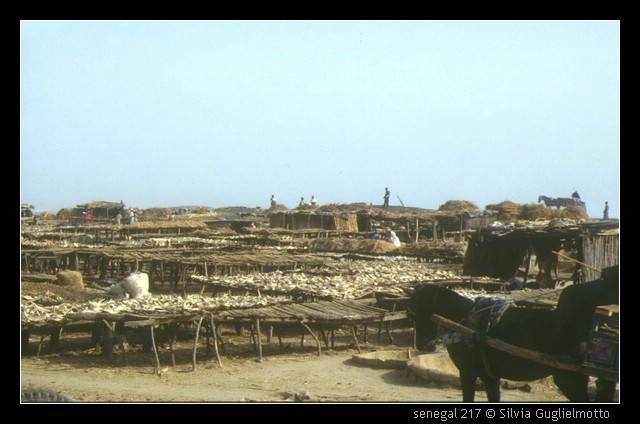 senegal 217.jpg