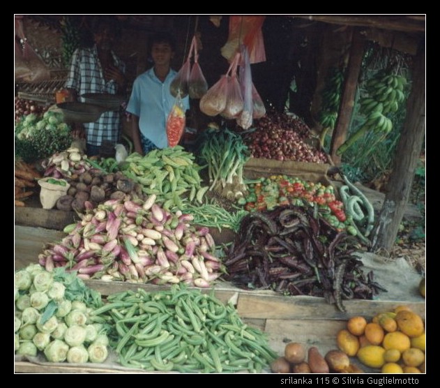srilanka 115.jpg