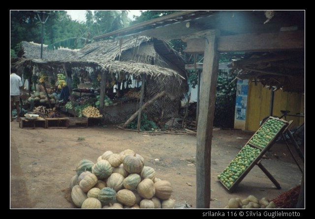 srilanka 116.jpg