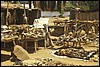 africa nera 345.jpg