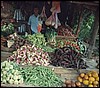 srilanka 115.jpg