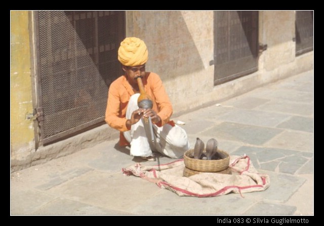 india 083.jpg
