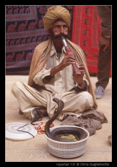 rajastan 131.jpg