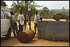 africa nera 025.jpg