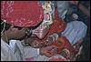 raj274.jpg
