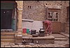 rajastan 126.jpg