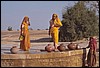 rajastan 140.jpg