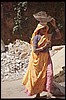 rajastan 230.jpg