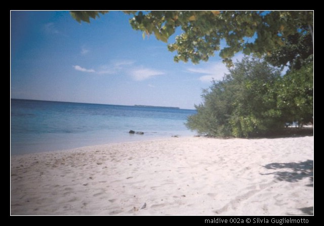 maldive 002a.jpg
