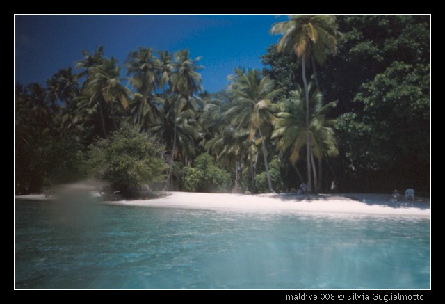 maldive 008.jpg