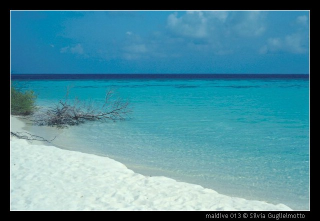 maldive 013.jpg