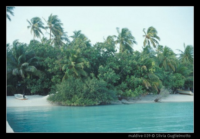 maldive 039.jpg