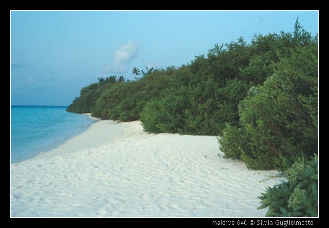 maldive 040.jpg