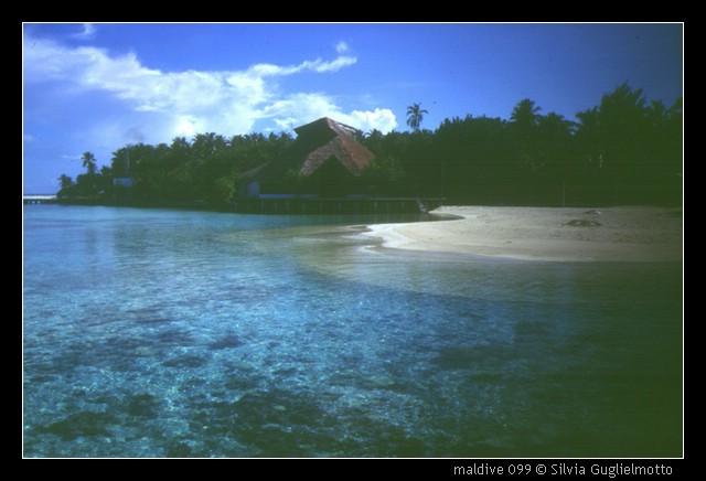 maldive 099.jpg