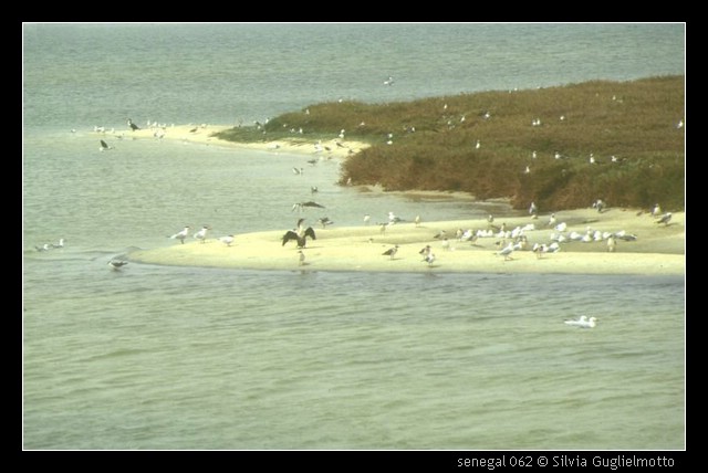 senegal 062.jpg