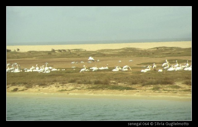 senegal 064.jpg