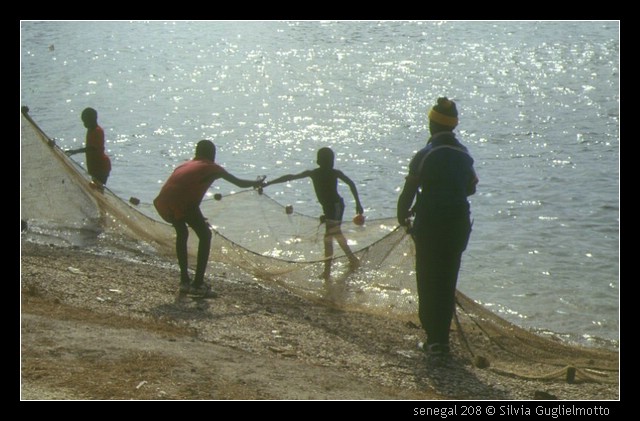 senegal 208.jpg