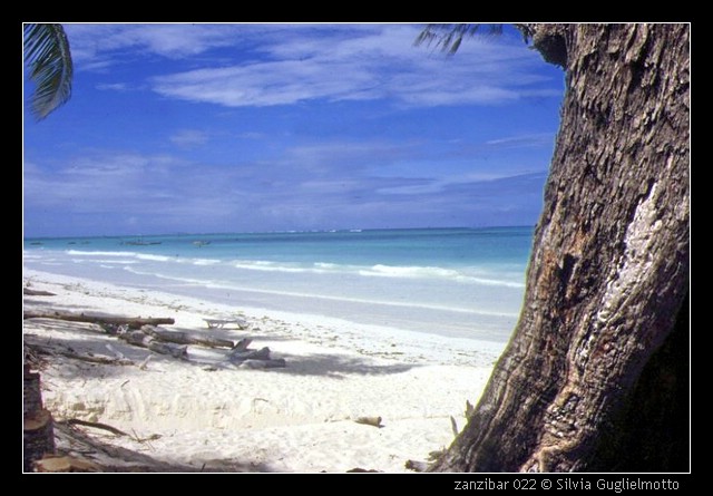 zanzibar 022.jpg