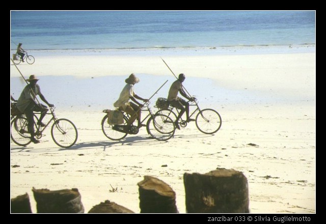 zanzibar 033.jpg