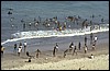africa nera 014.jpg